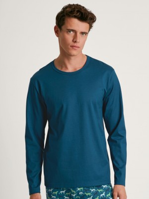Calida Rmx Sleep Weekend Shirt Long Sleeve Sovkläder Herr Blå | TMJO79148