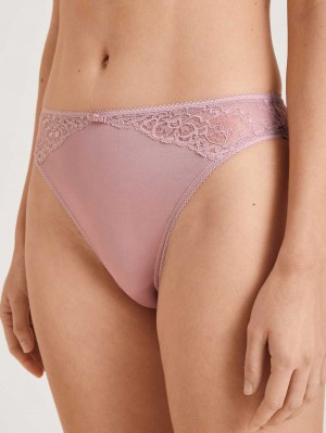 Calida Special Brief Underkläder Dam Mauve Shadow | WTGY17623