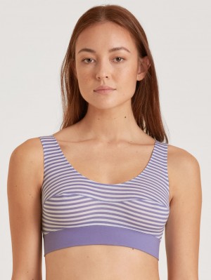 Calida Special Bustier Underkläder Dam Blå | KJZB43651
